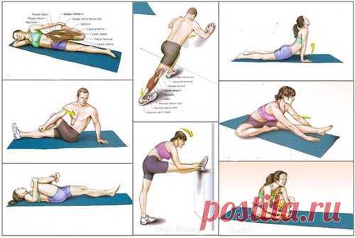 Los 9 mejores estiramientos para estar en forma