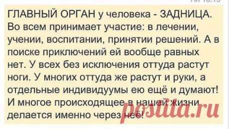 (15) Одноклассники