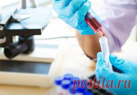 Calorizator.ru - Правильное питание. Таблица калорийности продуктов. Пищевые добавки. Анализаторы рецептов и продуктов. Диеты. Статьи