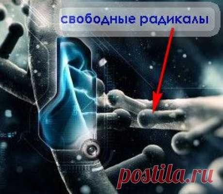 Антиоксидант. Нужны ли они для здоровья? | vita-jizn.net
Антиоксидант – что это такое? Если кратко, то это вещества, которые разрушают свободные радикалы. Поэтому антиоксидант нам нужен, чтобы продлить жизнь.
Природные антиоксиданты вполне нам доступны...