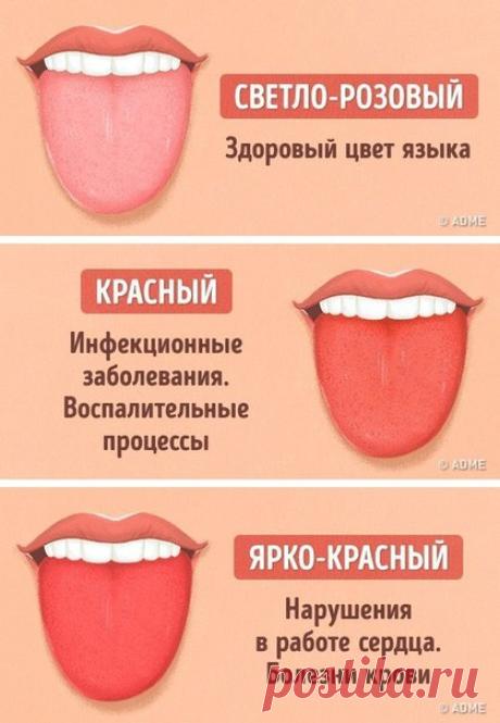 12 проблем, о которых может рассказать цвет языка. / Свежие рецепты
