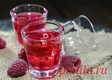 Рецепт приготовления вкусного вина из малинового варенья, с фото