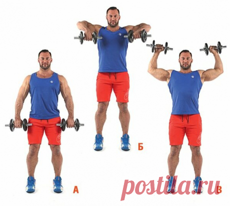 Идеальная осанка + крепкий позвоночник: 6 простых упражнений | Men's Health Россия | Яндекс Дзен