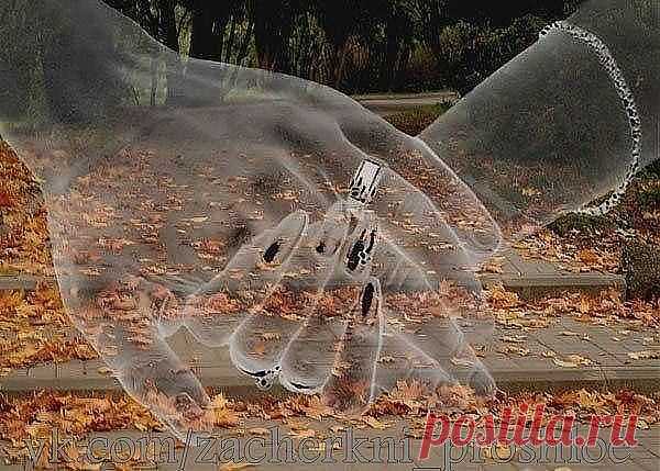 твоя рука в моей руке