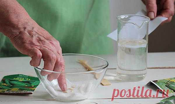Как проводится скарификация семян разных растений
