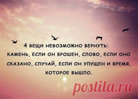 Львовна: У вас не будет второго шанса произвести первое впечатление!
