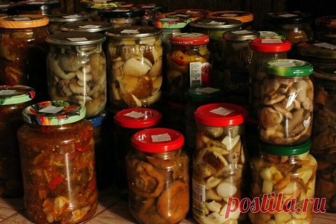 Как замариновать грибы так, чтобы они не только были вкусны и ароматны на столе, но и красивы в банках | грибной критик | Яндекс Дзен