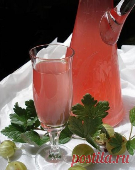 Рецепт наливки из крыжовника (с водкой и без).