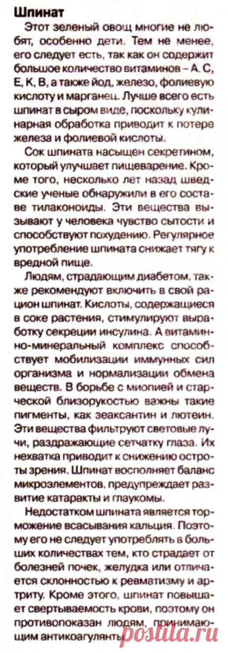 Шпинат - полезные свойства