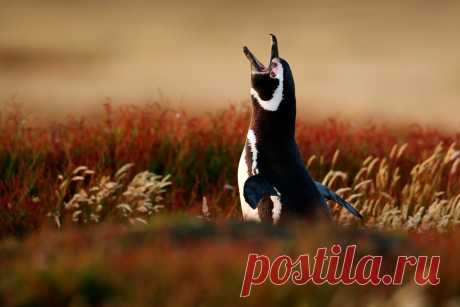 Нюансы работы стюартов и стюардесс, которые никто не рассказывает простым пассажирам