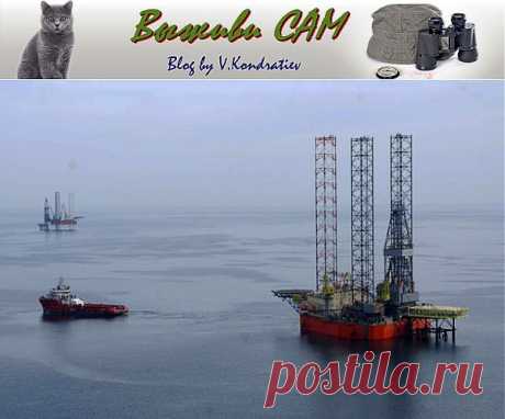 Судьба &amp;laquo;Черноморнефтегаза&amp;raquo; и уроки истории&amp;nbsp; &amp;nbsp;Выживи сам