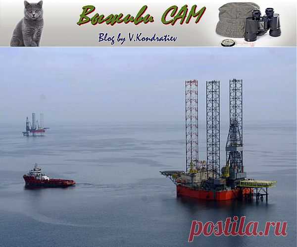 Судьба &laquo;Черноморнефтегаза&raquo; и уроки истории&nbsp; &nbsp;Выживи сам