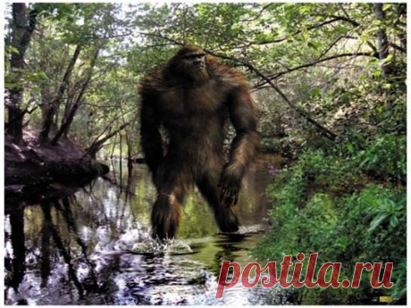 Sasquatch Art
(Изображение JPEG, 543 × 407 пикселов)
