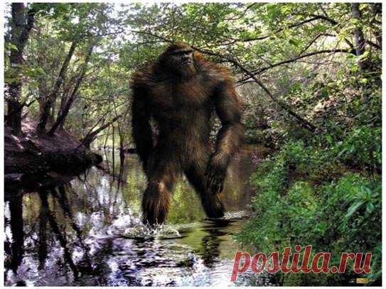 Sasquatch Art
(Изображение JPEG, 543 × 407 пикселов)