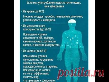 продукты закисляющие и ощелачивающие организм