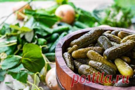 Маринованные огурцы с виноградом на зиму — Journal women