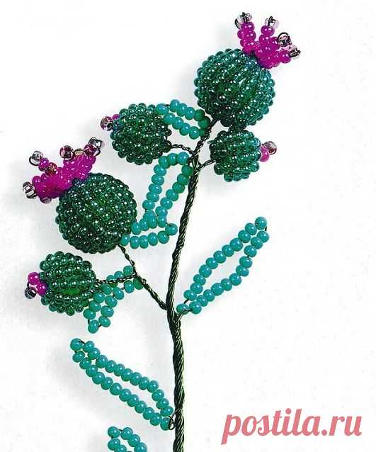 (4) Pinterest