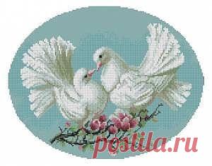 (24) Одноклассники