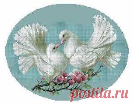 (24) Одноклассники