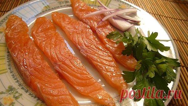 Простой способ приготовления очень дорогой семги из бюджетной горбуши | Pro100ogorod | Яндекс Дзен