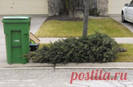 Tips para reutilizar tu Árbol Navideño Hogar Manualidades
