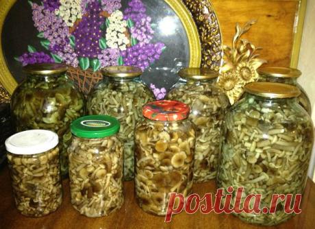 Опята маринованные.