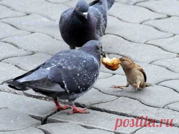 Редкие кадры
