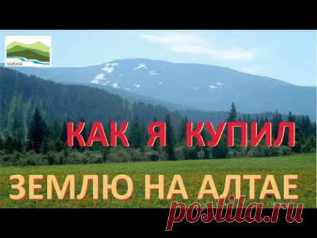 Как я искал и купил землю на Алтае