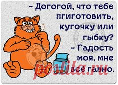 Правда Жизни | Юмор, Мотивация, Сарказм, Цитаты