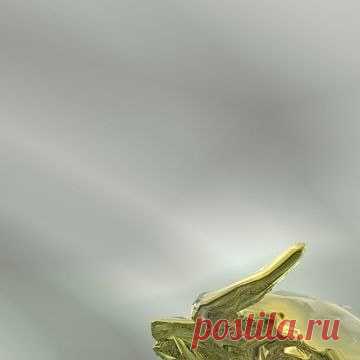Photo by Финансовый консалтинг in Mytishchi, Moscow Oblas, Russia.