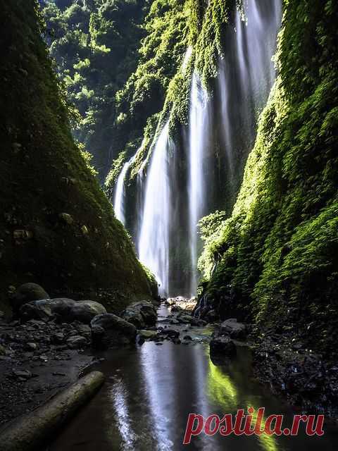 Ява.Индонезия