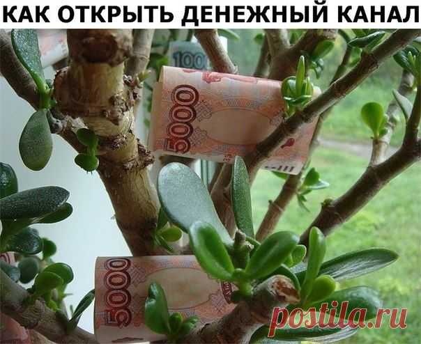 "ЗОЛУШКА" Домашний уют. Здоровье. Красота