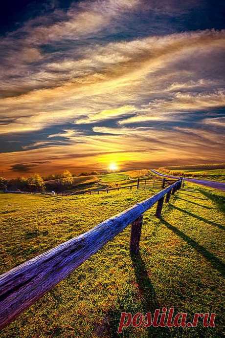 On The Brighter Side Print by Phil Koch
