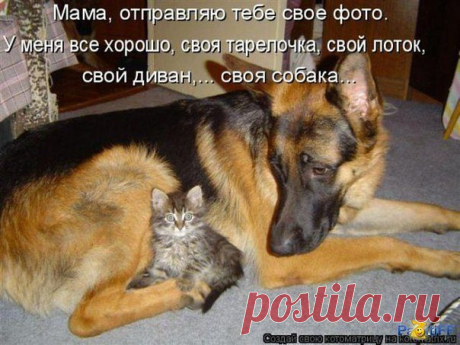 Моя собствнгглсть