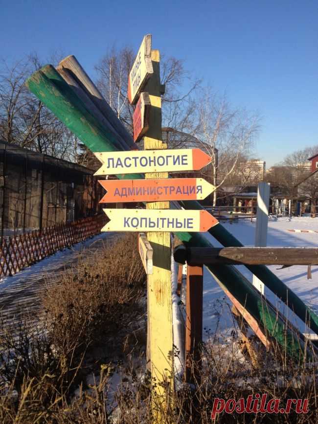Маразм дня