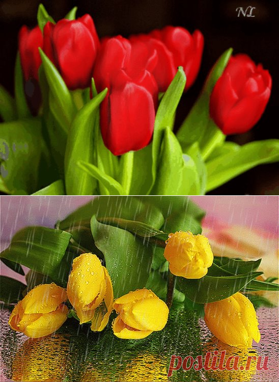 Одноклассники