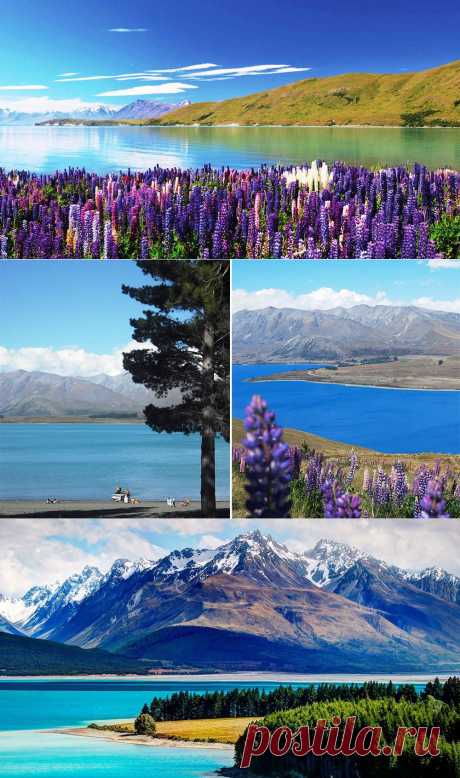 Удивительная красота озера Текапо в Новой Зеландии (Lake Tekapo) | Newpix.ru - позитивный интернет-журнал