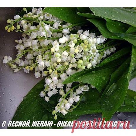 Группа: КРАСИВЫЕ КАРТИНКИ. ВИДЕО. МИР, В КОТОРОМ МЫ ЖИВЕМ!