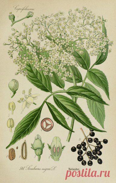 ~ MON PLAISIR ~ Вещи для души. Винтаж,Прованс.