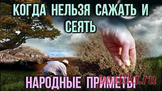 (3) Одноклассники