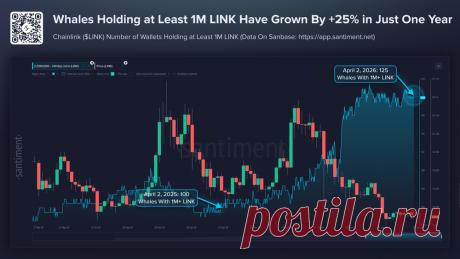 Количество «китов» 🐳 в сети Chainlink значительно выросло