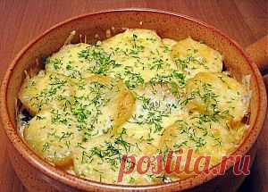 Запеканка с грибами и картофелем » Кулинарные рецепты, домашняя еда на каждый день!!!