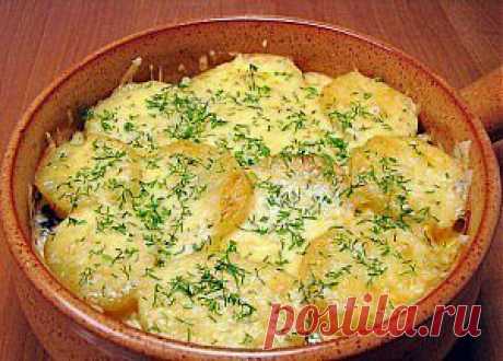 Запеканка с грибами и картофелем » Кулинарные рецепты, домашняя еда на каждый день!!!