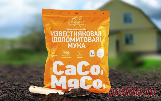 9 полезных свойств доломитовой муки, о которых вы даже не догадывались | Дела огородные (Огород.ru)