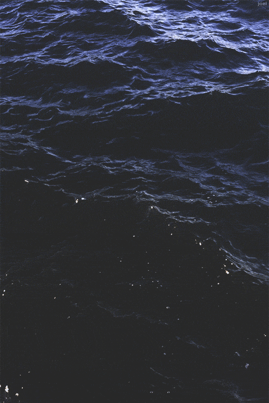♡ Feel t