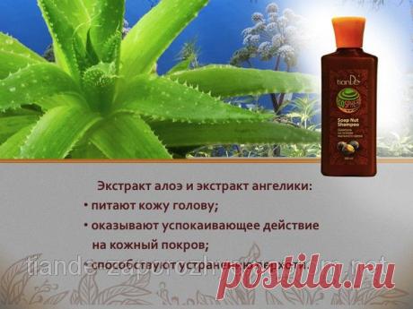 Купить Шампунь на основе мыльного ореха, 300 мл Запорожье и Украине от компании &quot;ТианДе&quot;