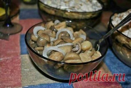 Самые вкусные рецепты