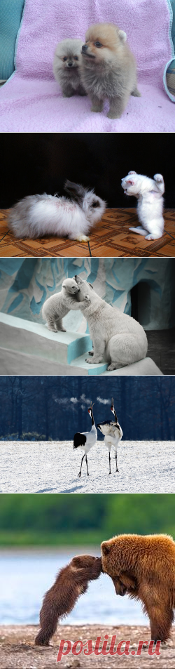 Белое настроение!