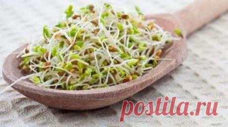 Эликсир молодости у вас на подоконнике Многим известен такой целебный продукт, как семена льна с их уникальными оздоровительными свойствами. Они богаты незаменимыми для человеческого организма жирными кислотами Омега-3, лигнанами и клетчат