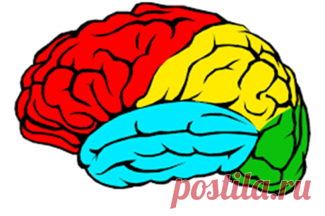 Эти популярные лекарства разрушают головной мозг и вызывают слабоумие. | Сергей Витебский | Дзен